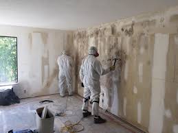 Best Basement Mold Removal  in Clear Lake, IA